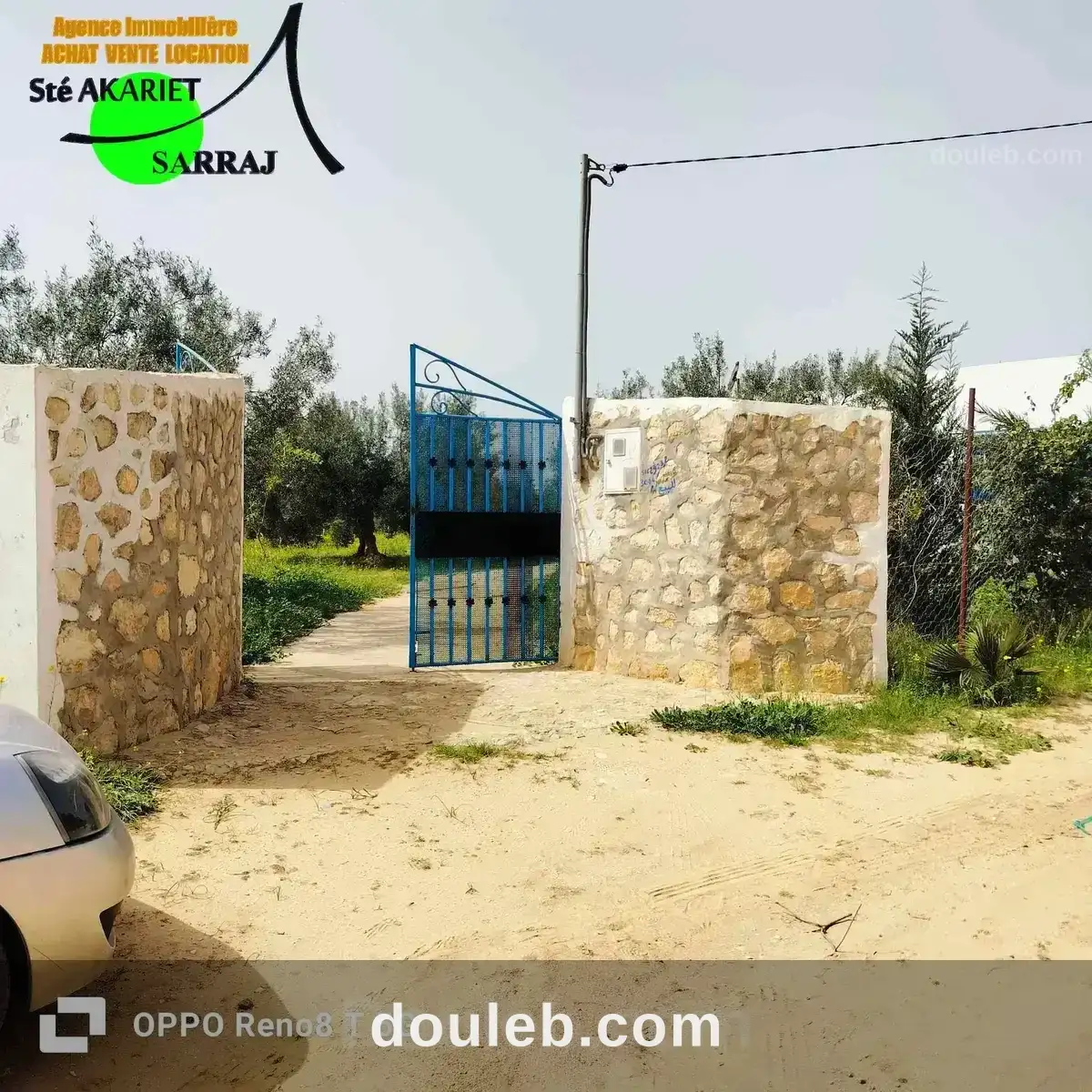 Senia 3000m prés de dar zitouna à sidi bouali - Miniature 3