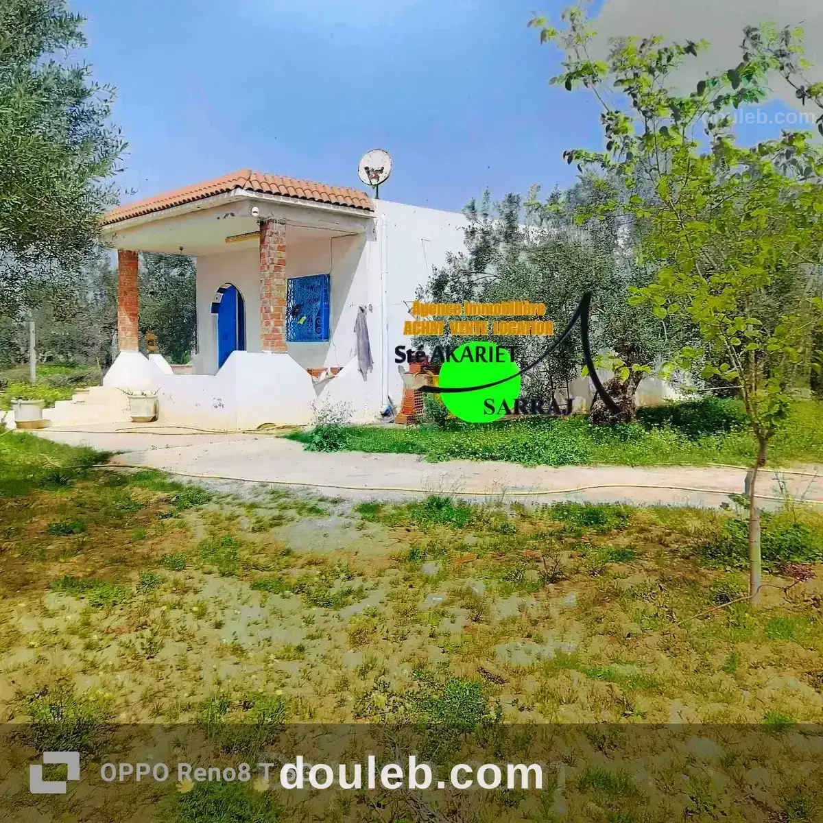 Senia 3000m prés de dar zitouna à sidi bouali - Miniature 5