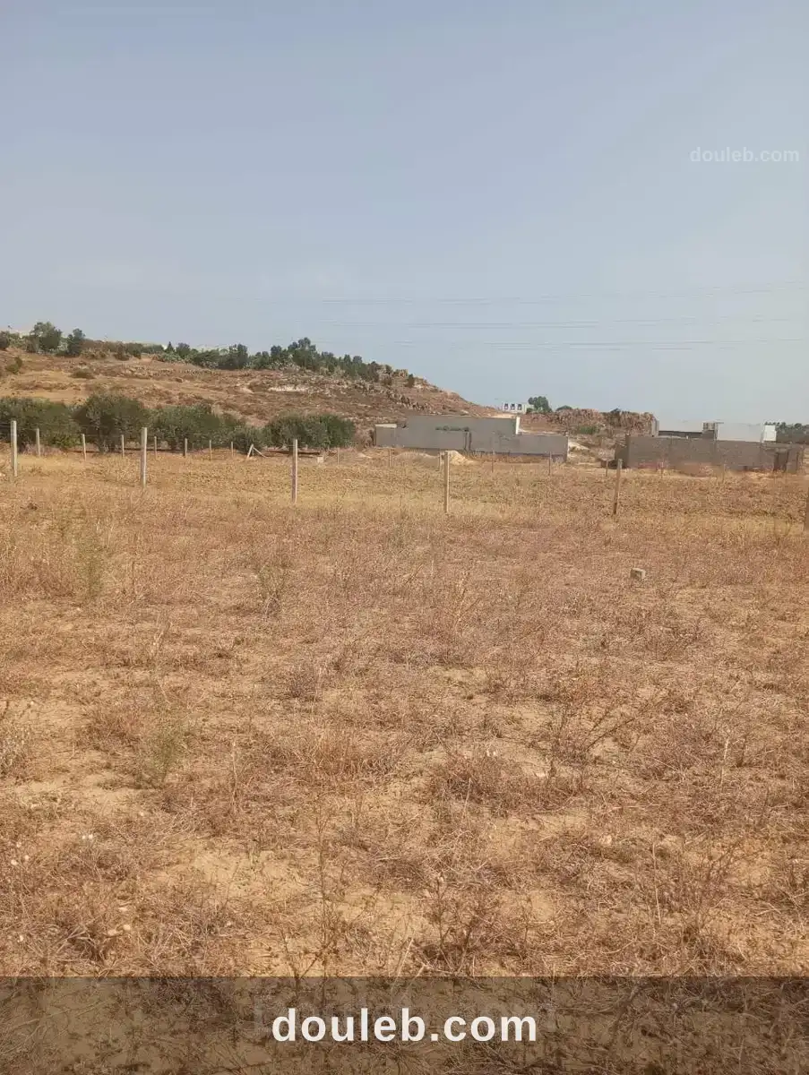 Av 360m à 28md à hammamet sud - Miniature 2