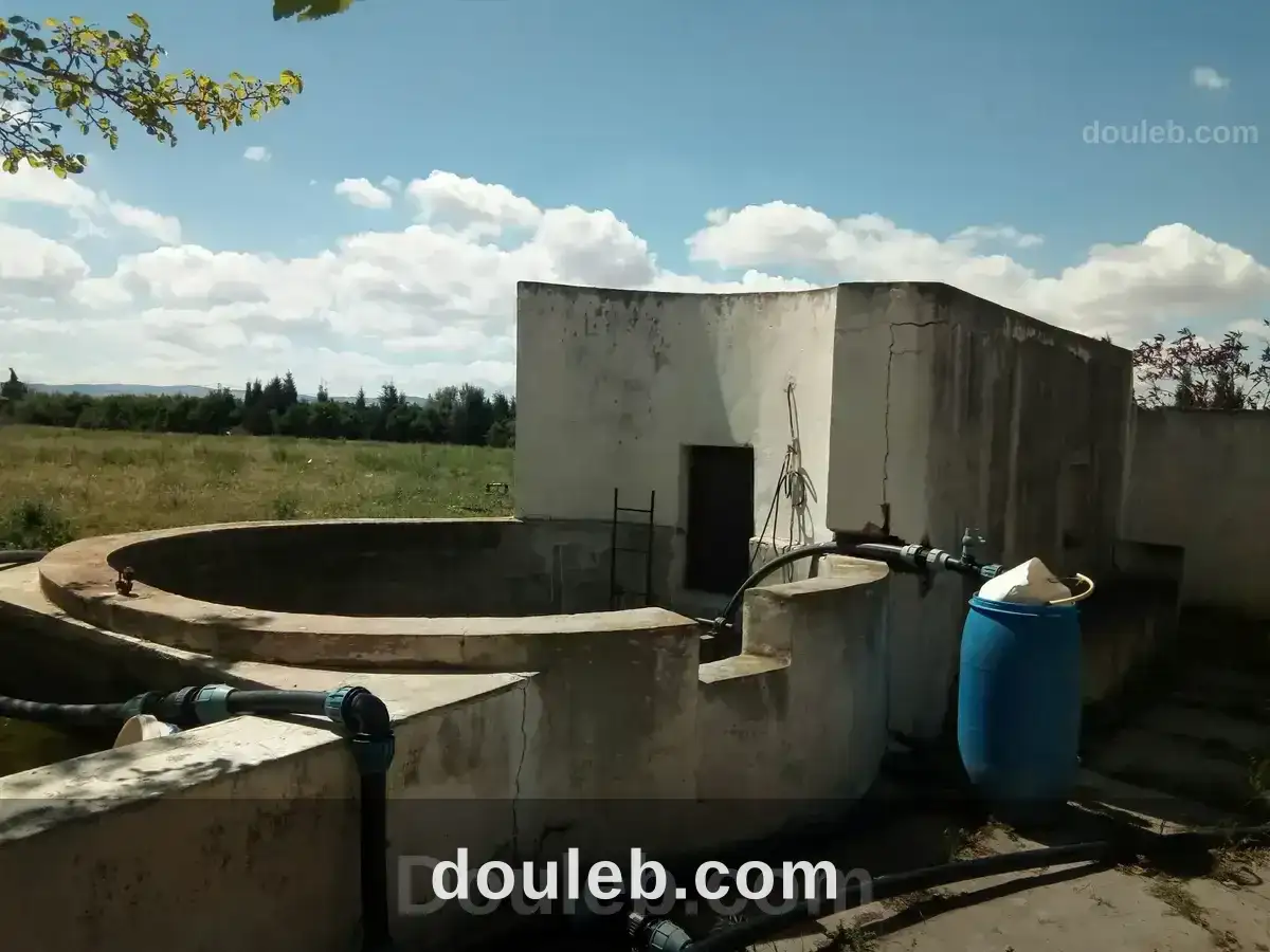 Ferme à naasseen - Miniature 2