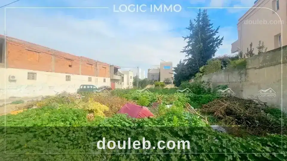 Terrain soukra - Miniature 2