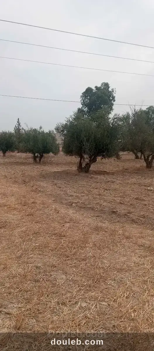 Terrain agricole - Miniature 2