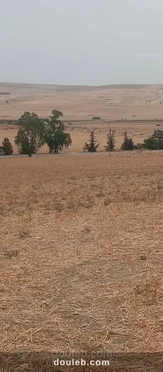 Terrain agricole - Miniature 3