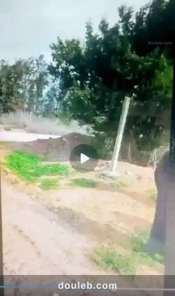 Siliana bon terrain - Miniature 2