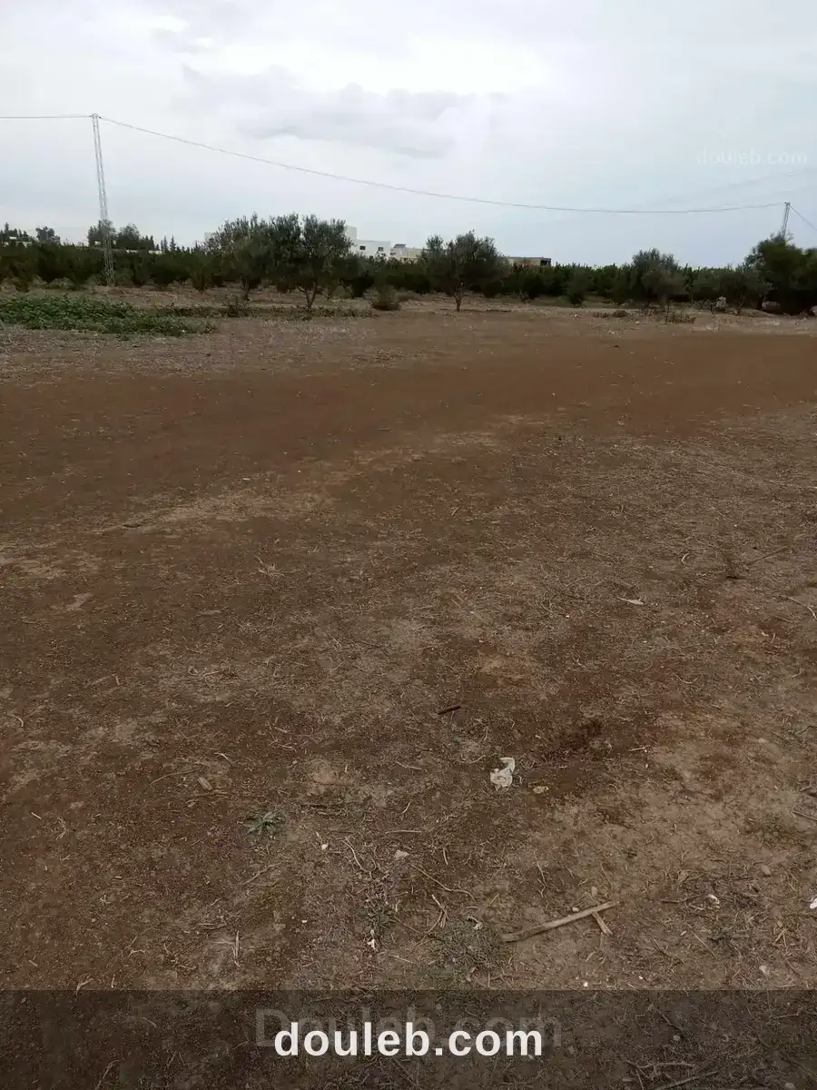 Terrain faicel - Miniature 2