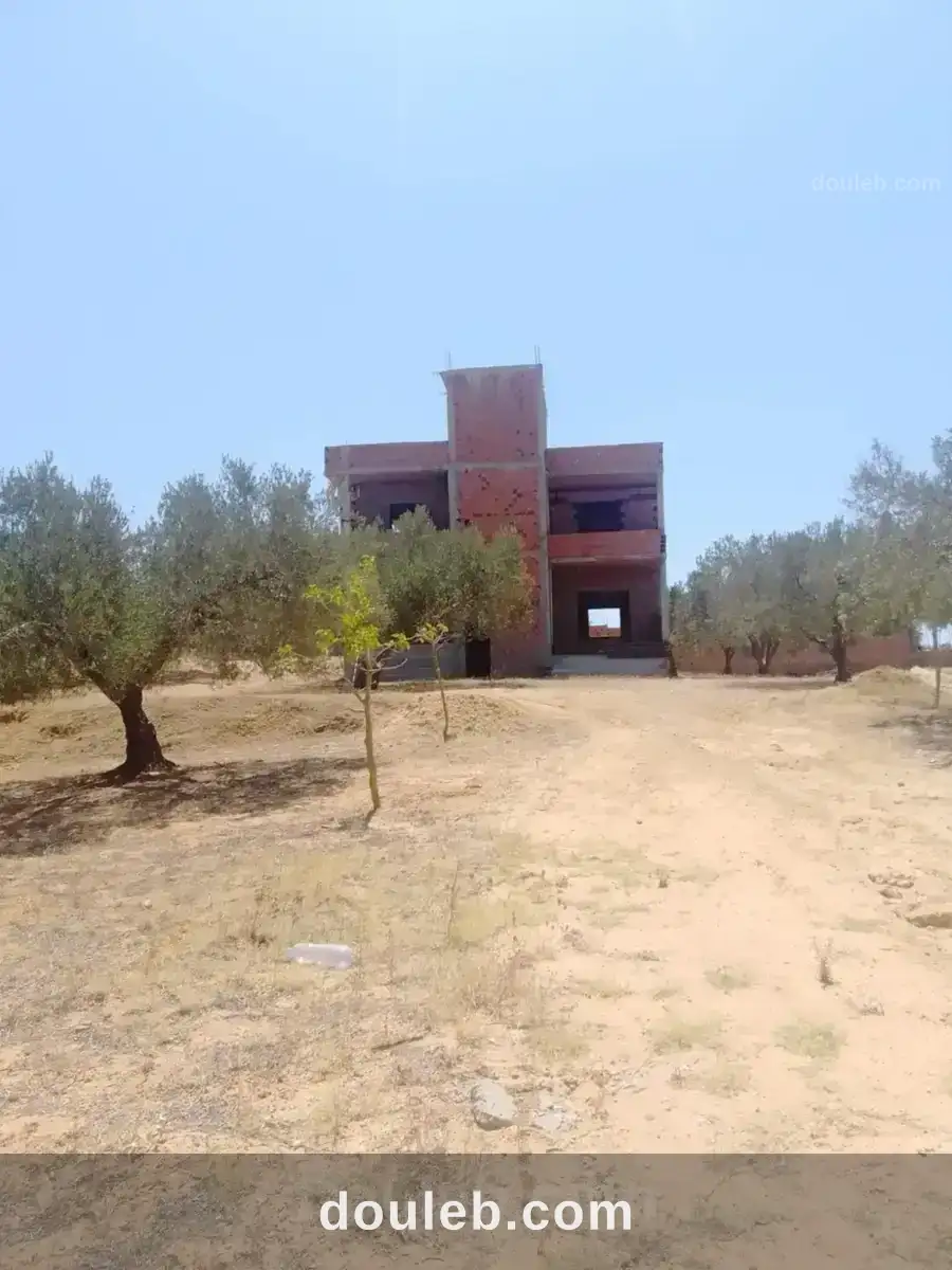 Dar kamel bou argoub - Miniature 3