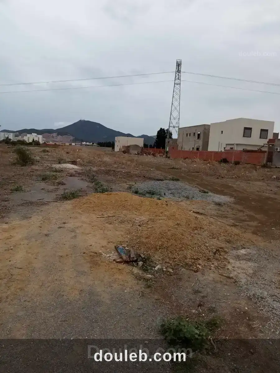 Terrain faicel - Miniature 3