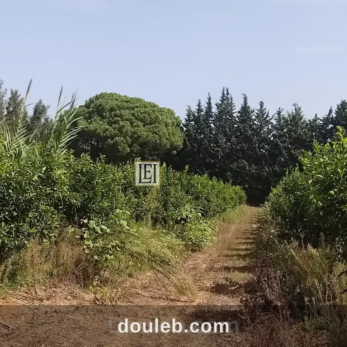 Une ferme de 12 hect - Miniature 4