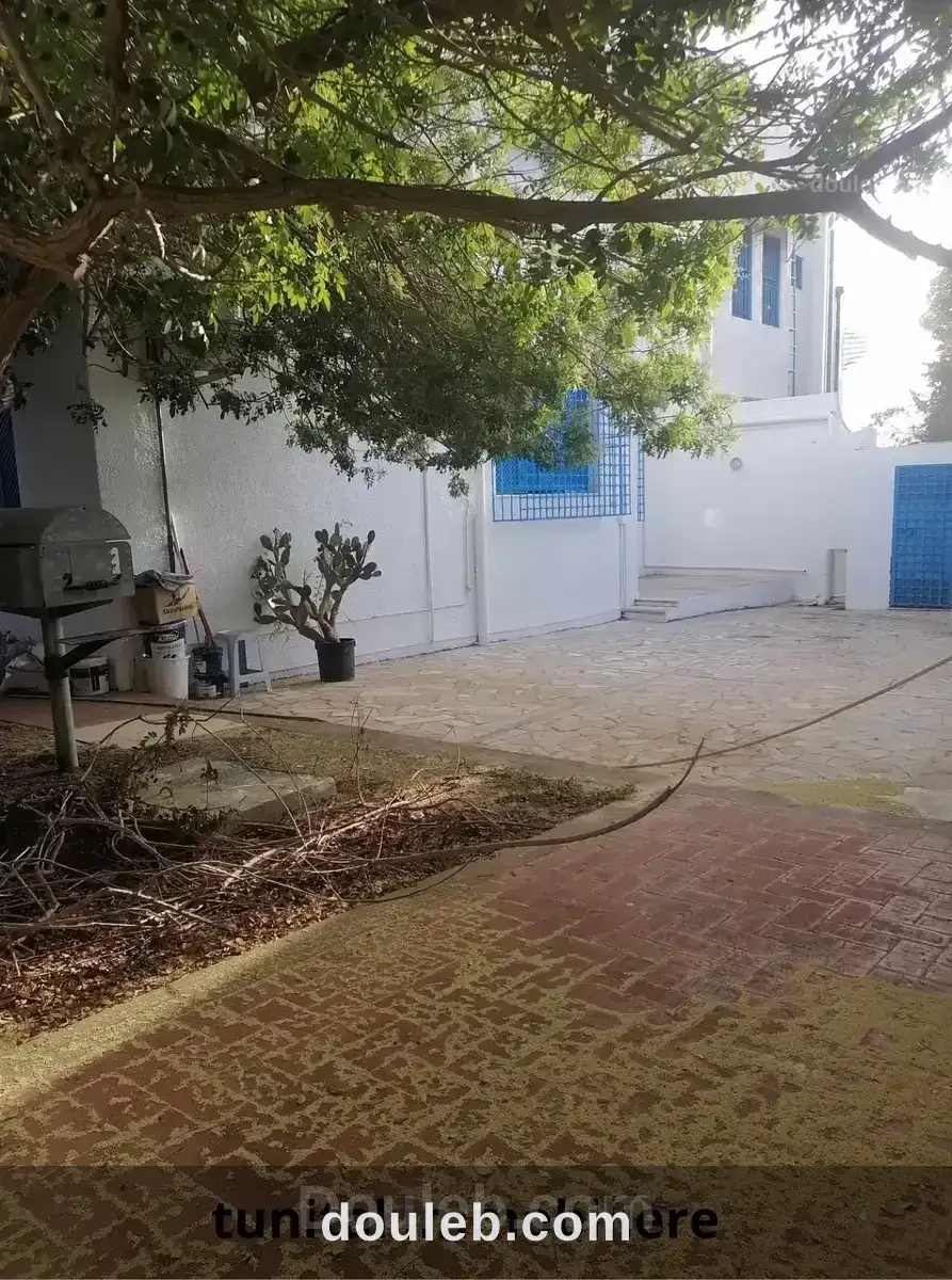 Villa vide - Miniature 5