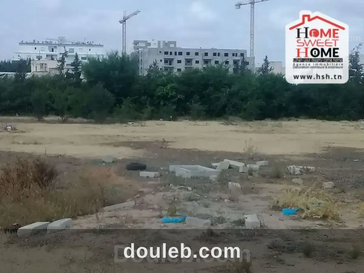 Terrain promoteur juana à boumhal - Miniature 2