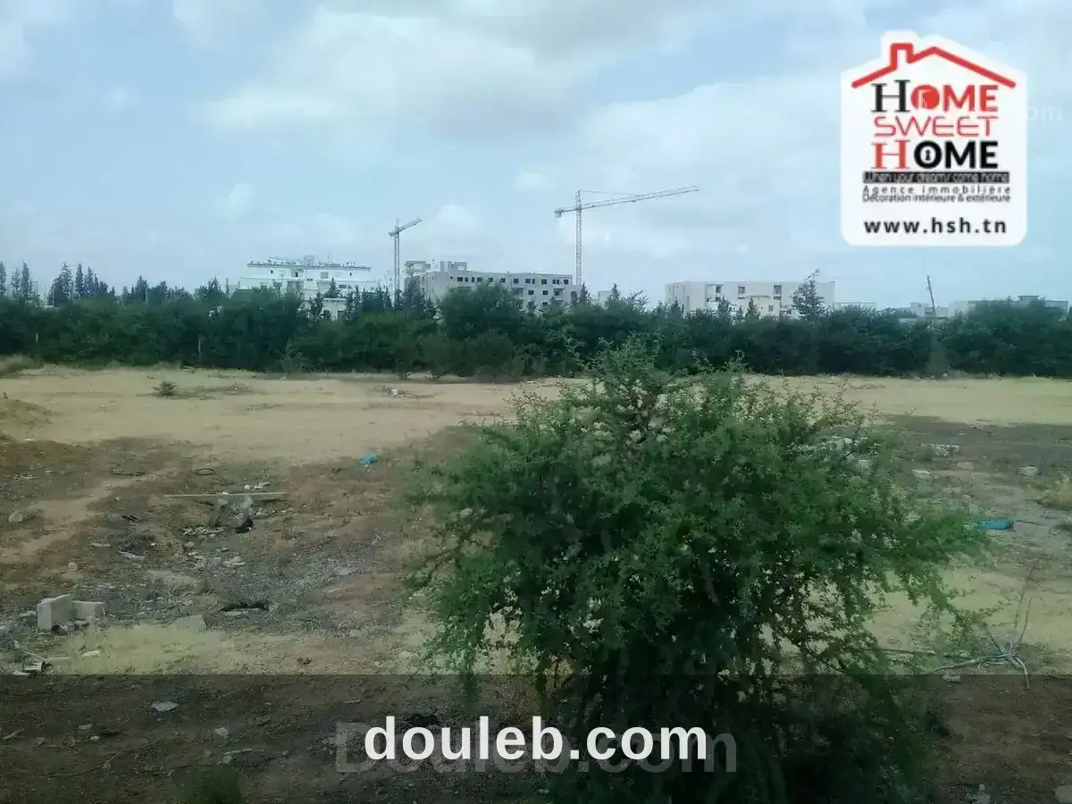 Terrain promoteur juana à boumhal - Miniature 4