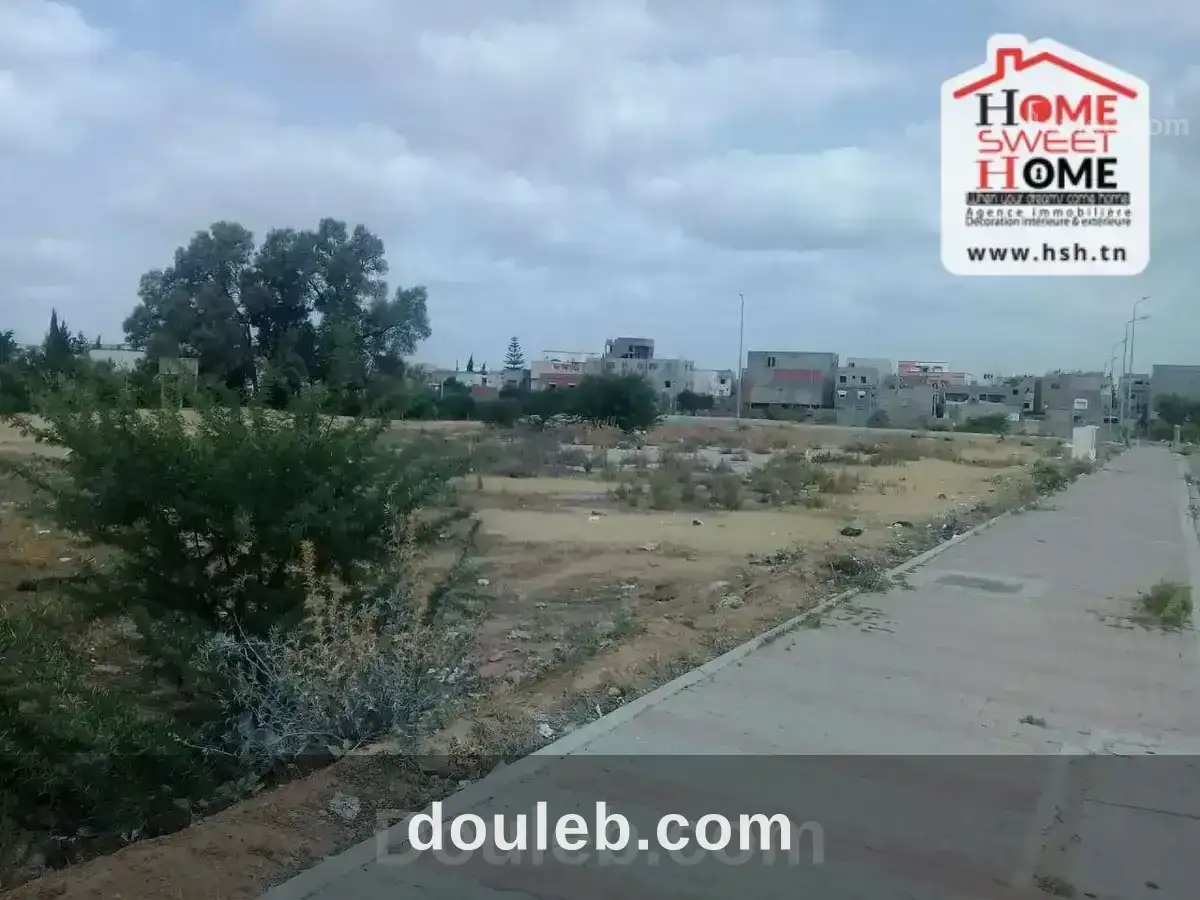 Terrain promoteur juana à boumhal - Miniature 5