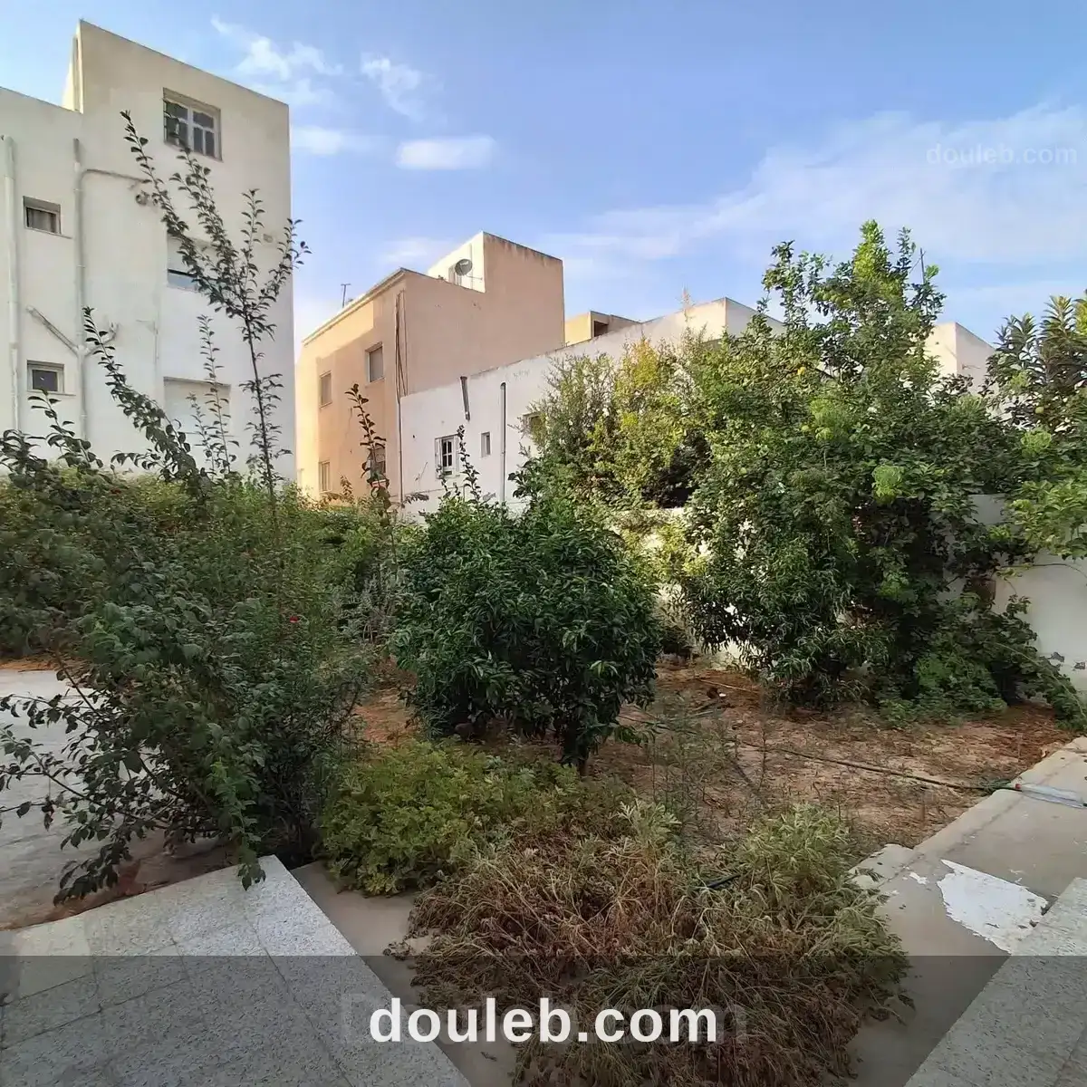 Opportunité rare aux jardins de carthage - Miniature 3