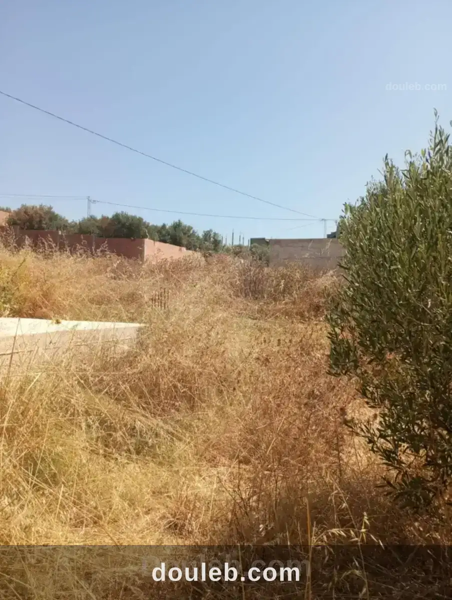 Av terrain 200m avec fondation à hammamet - Miniature 2