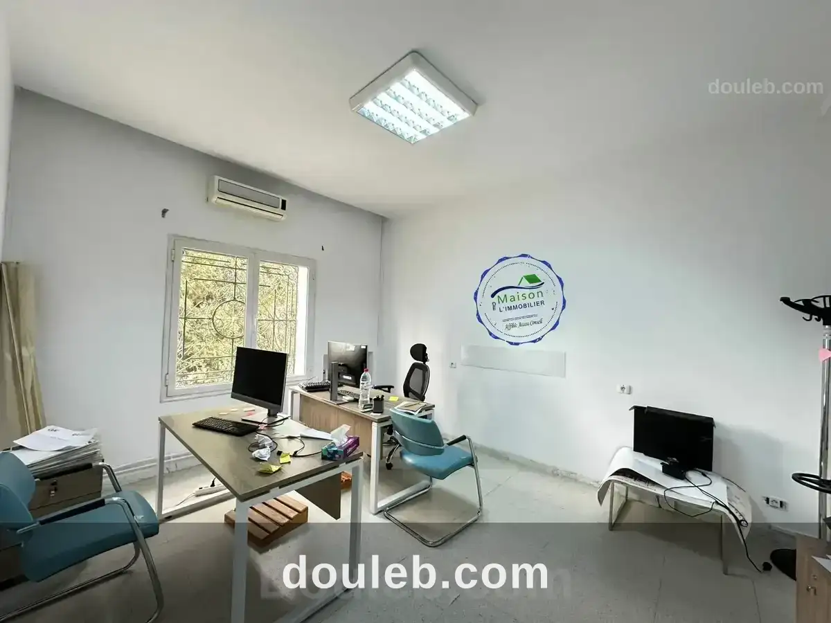 Villa usg bureau 10 pièce 13parking mutuelleville - Miniature 3