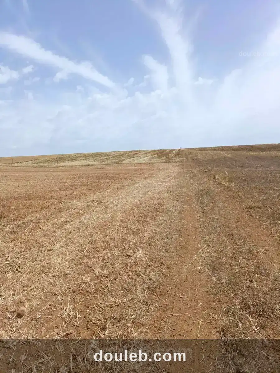 Av terrain 4900m pas loin de hammamet yasmine - Miniature 4