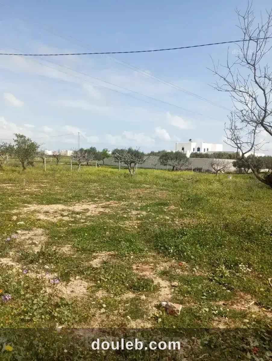 Av terrain 250m loin 1km de la mer à hammamet sud - Miniature 2
