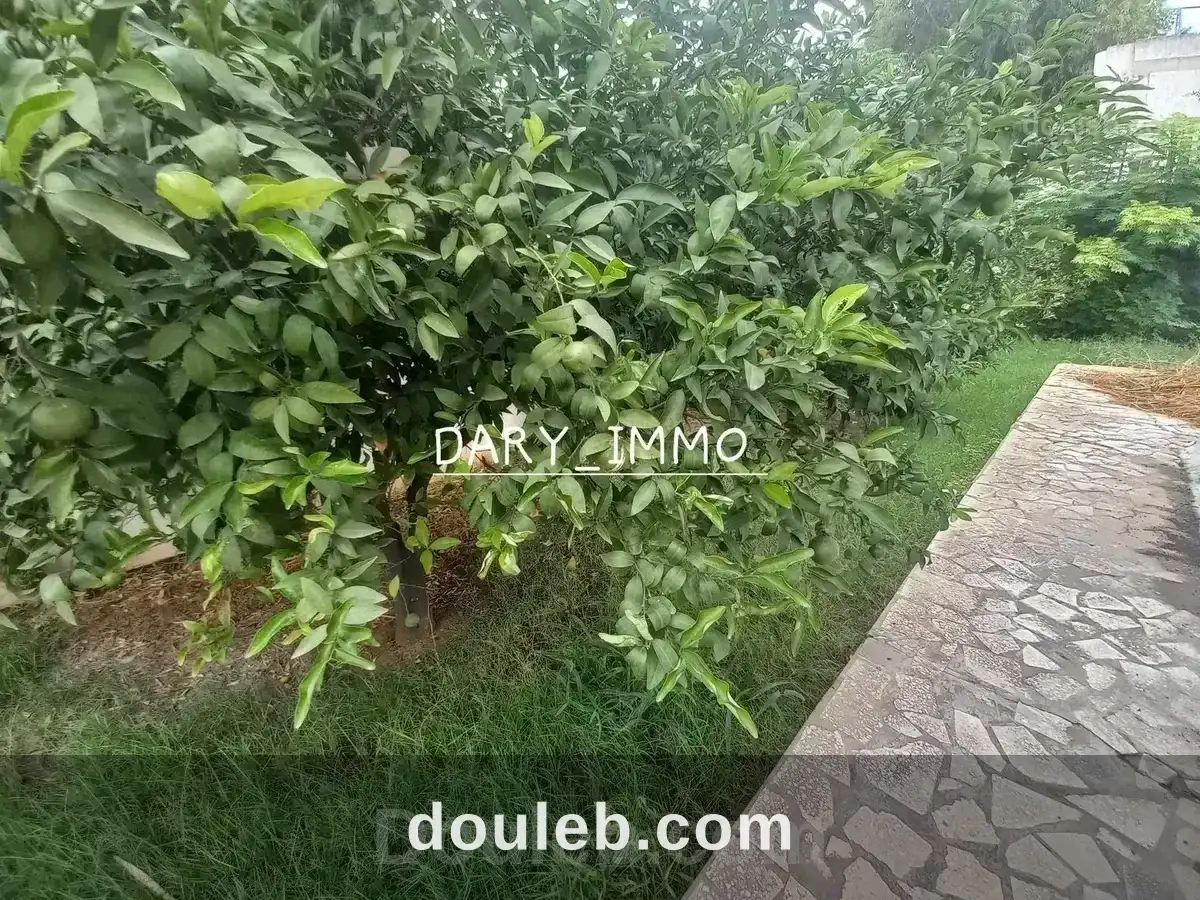 Villa 2s7 à el manar 3 - Miniature 2