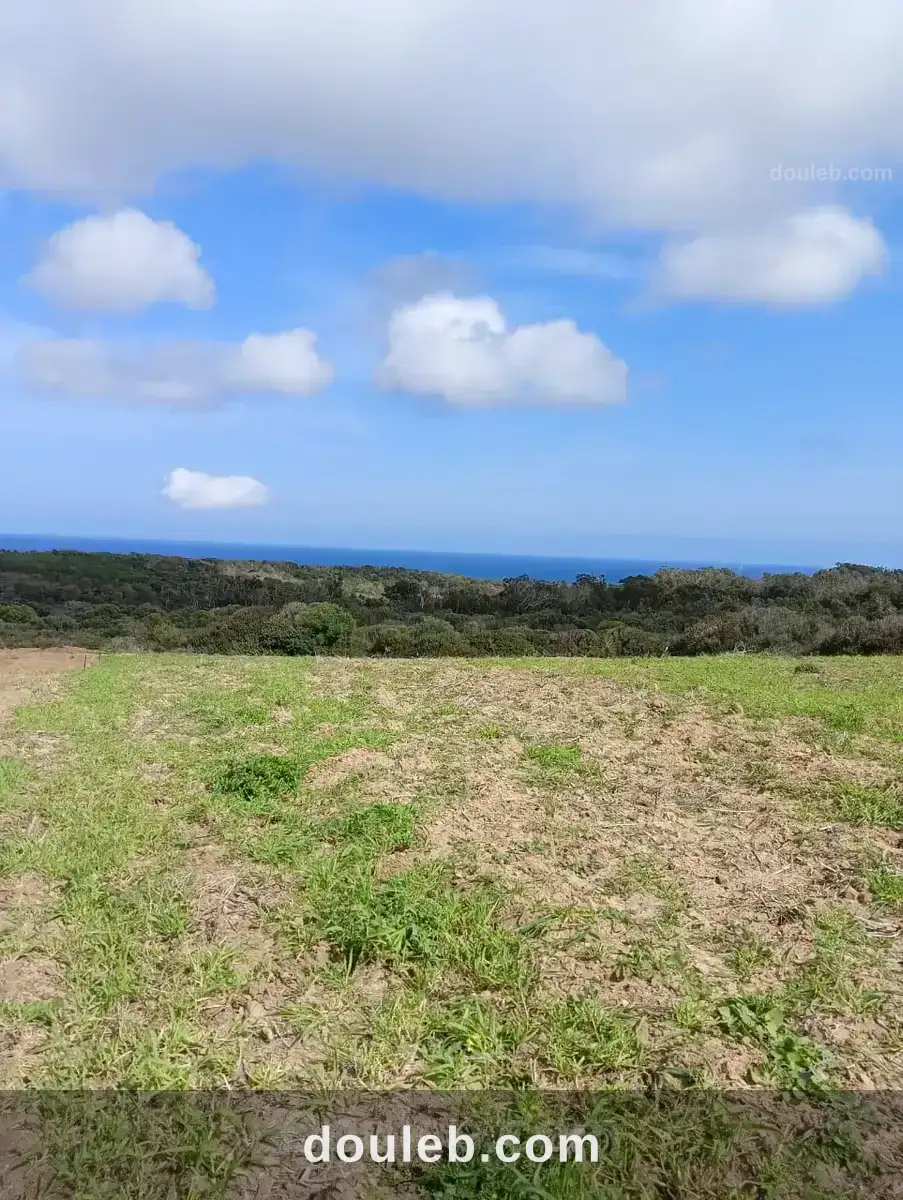 Prix intéressant - Miniature 2