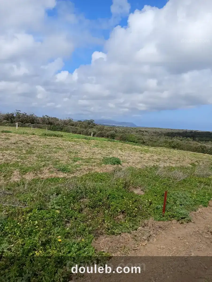 Terrain panoramique entre kélibia - Miniature 2