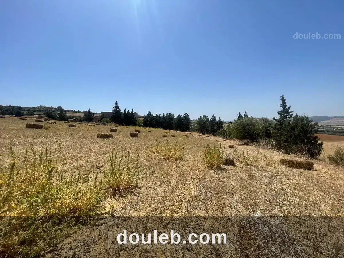 Terrain agricole ou idéal projet maison dhôtes - Miniature 3