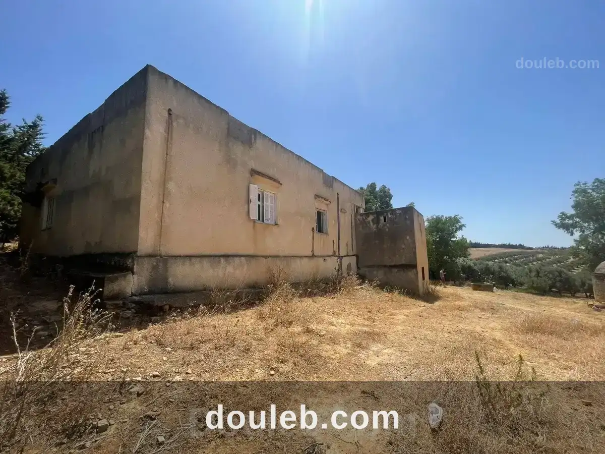 Terrain agricole ou idéal projet maison dhôtes - Miniature 4