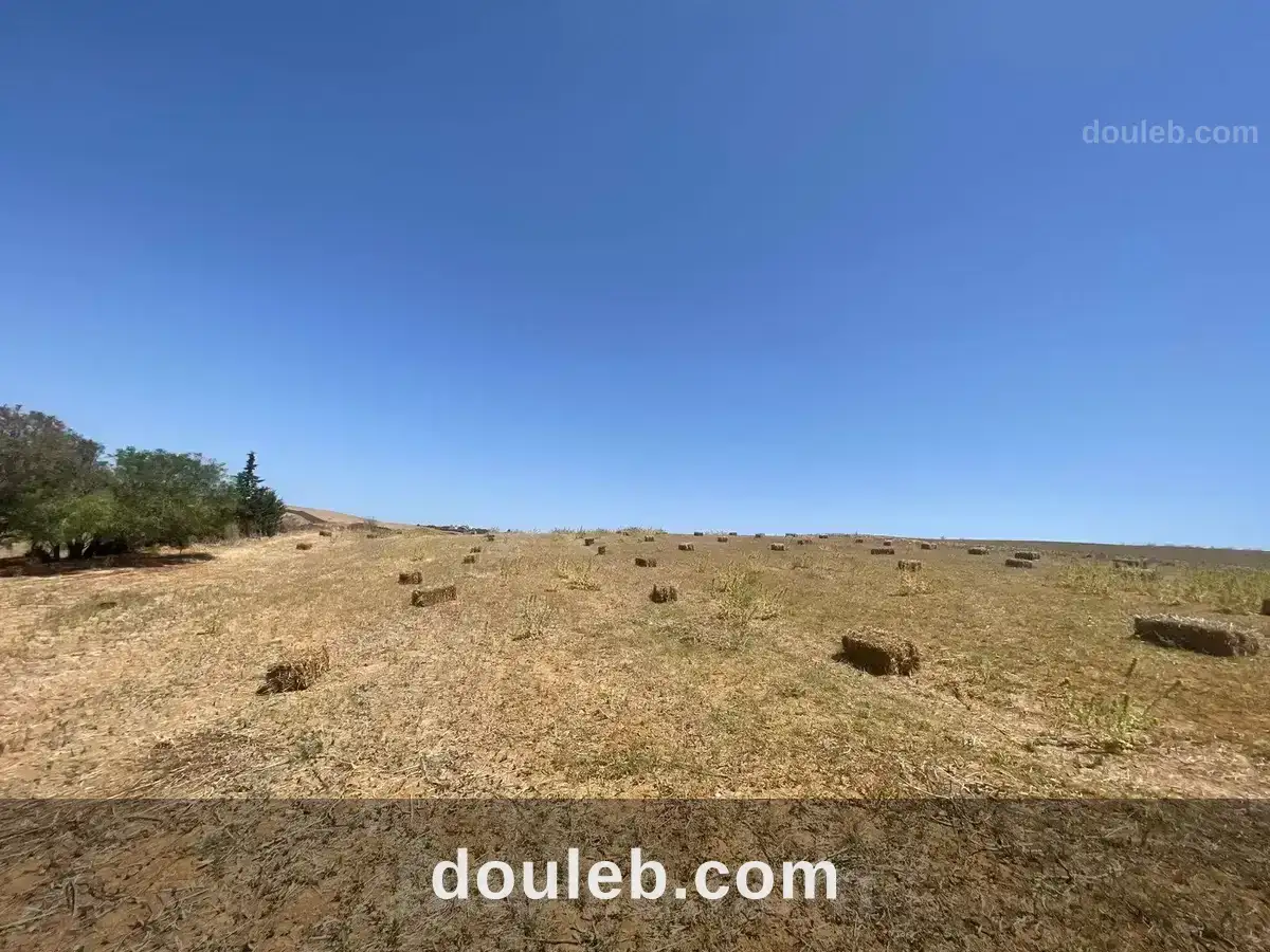 Terrain agricole ou idéal projet maison dhôtes - Miniature 5