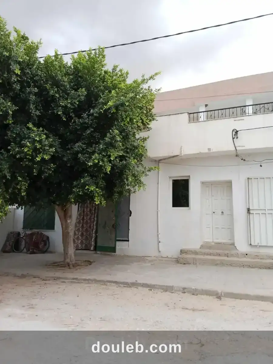 Local khelidia - Miniature 5