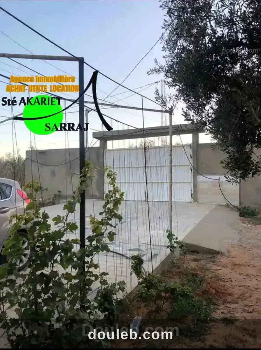 Belle senia clôturé 7520m à kalaa kbira el henya - Miniature 2