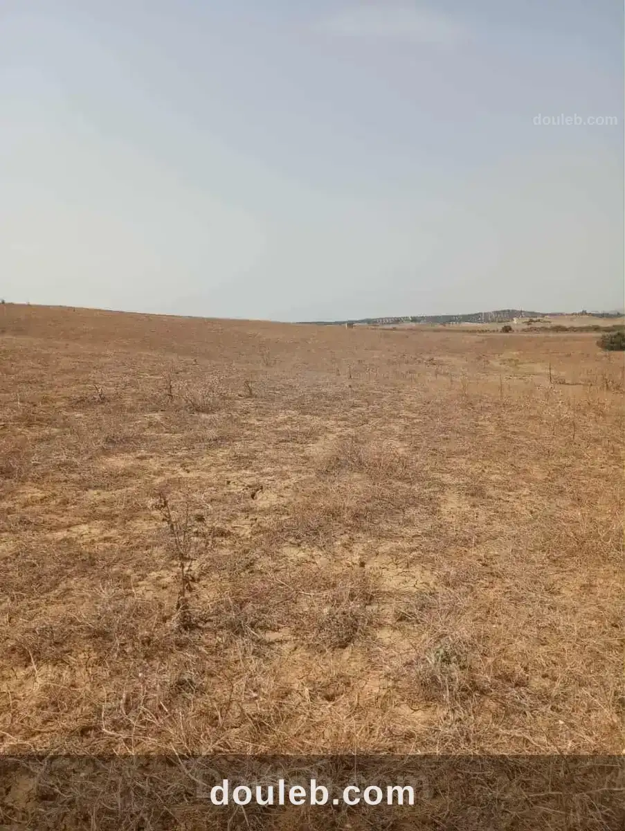 Av terrain 7 hectares route zaghouan hammamet - Miniature 2