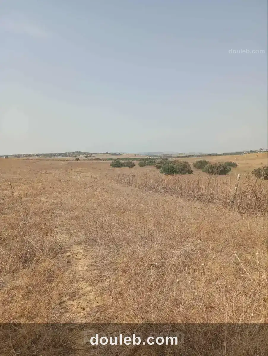 Av terrain 7 hectares route zaghouan hammamet - Miniature 3