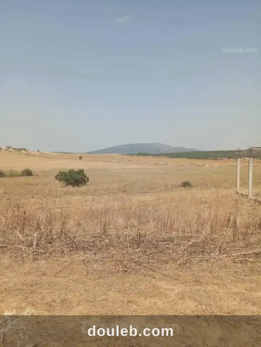 Av terrain 7 hectares route zaghouan hammamet - Miniature 4