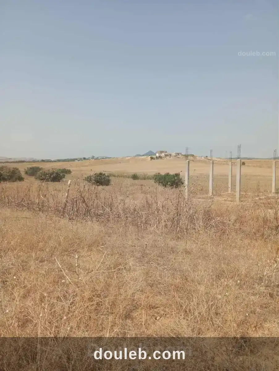 Av terrain 7 hectares route zaghouan hammamet - Miniature 5