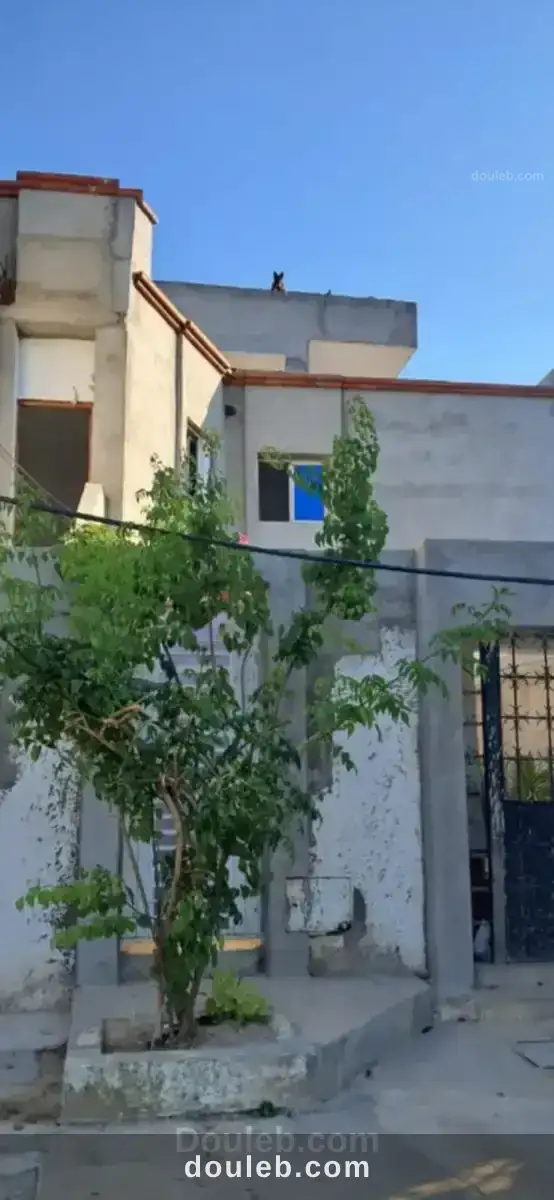 Studio khelidia - Miniature 4