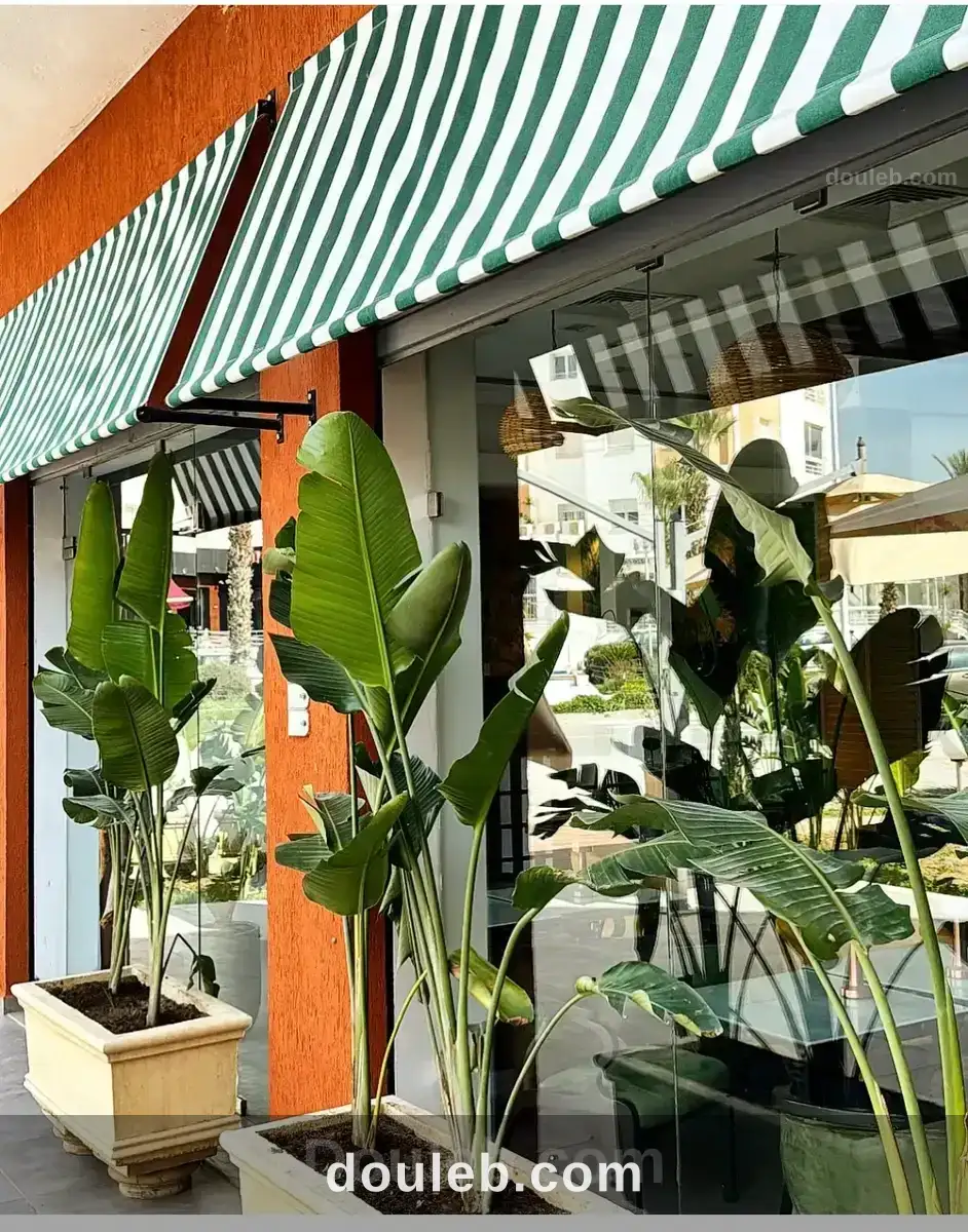 Salon de thé the garden à Tunis