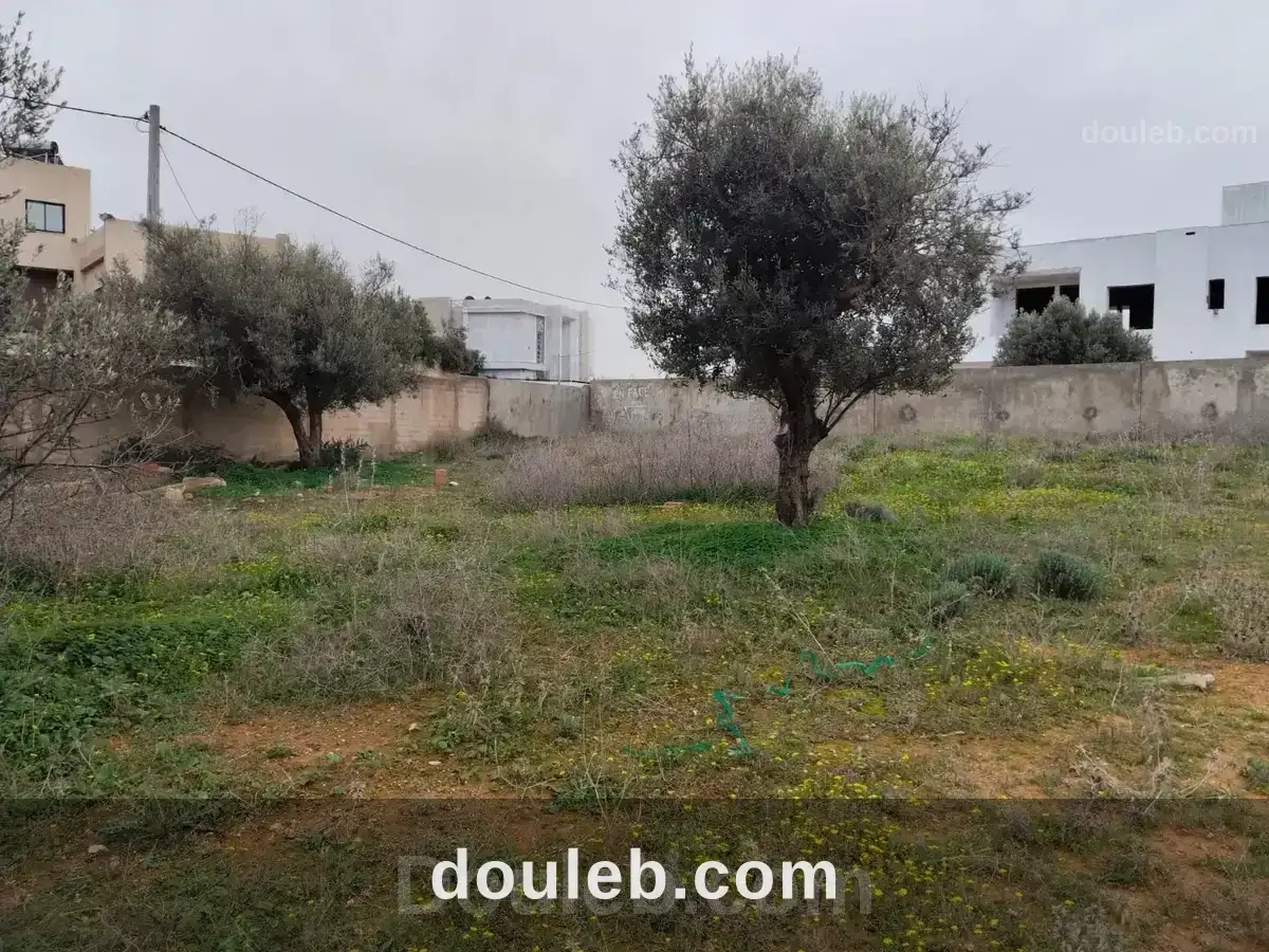 Borj youssef vnt ter 1000m2 à Tunis