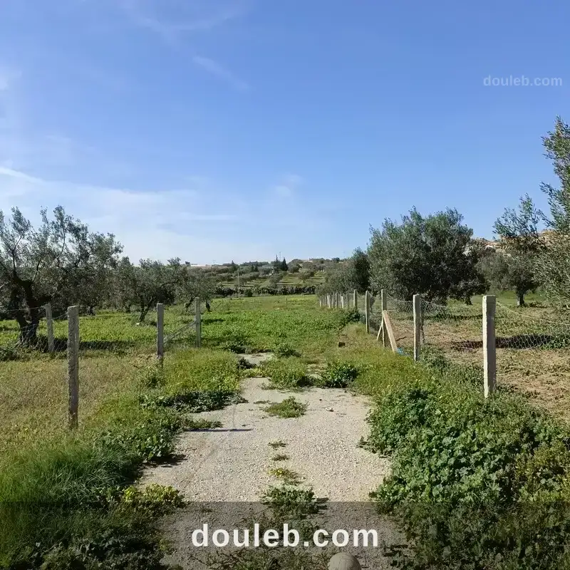 Av terrain 1680m à hammamet sud monchar à Tunis