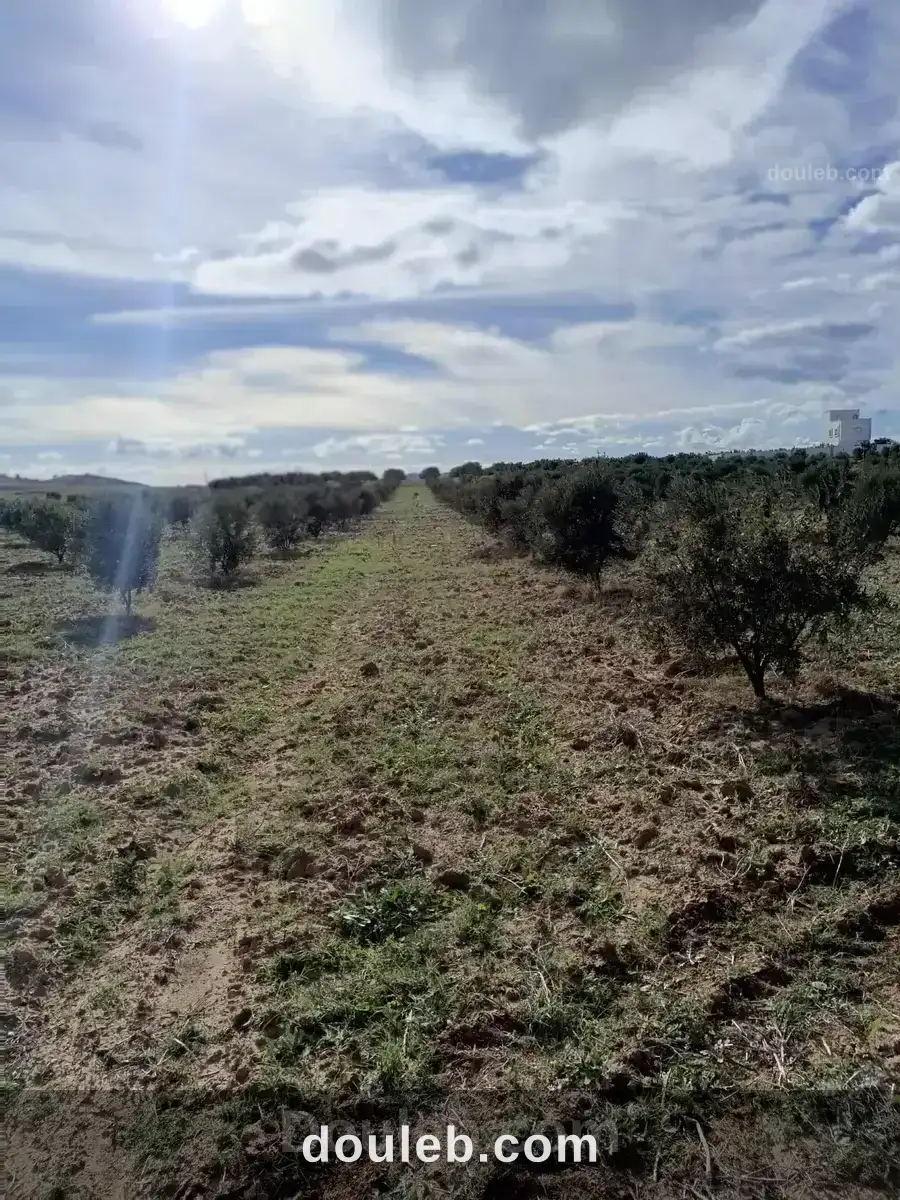 Av 3000m à hammamet sud à Tunis