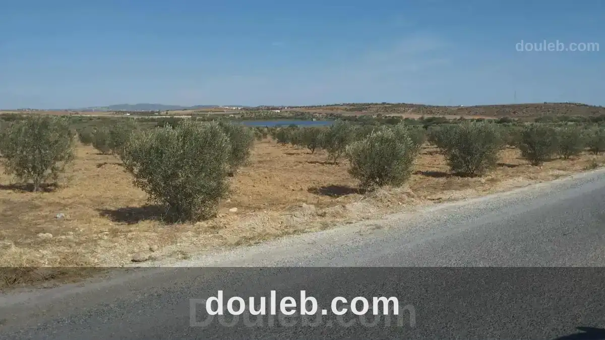 Av de 1000m à 3000m à monchar à Tunis