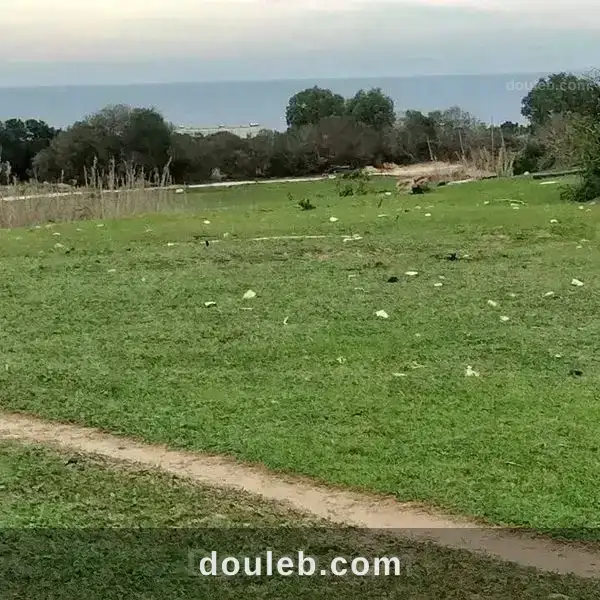 4000m2 seulement a 70000 dt à Tunis