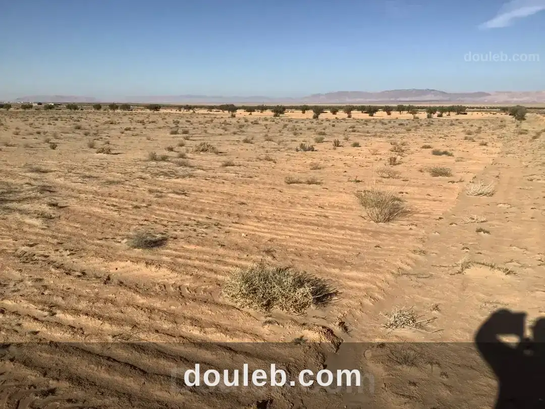 Profiter l'occasion à Tunis