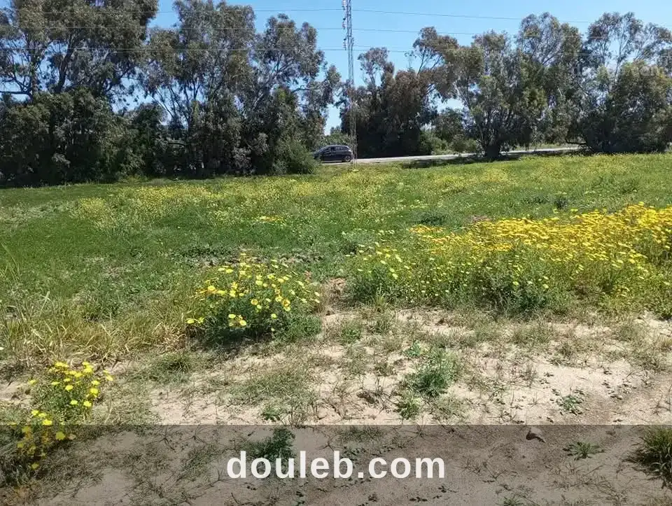 Terrain commercial elhaouaria à Tunis