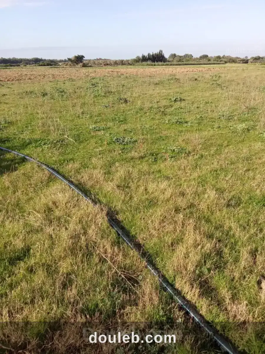 3000m2 opportunité prix80000 dt à Tunis