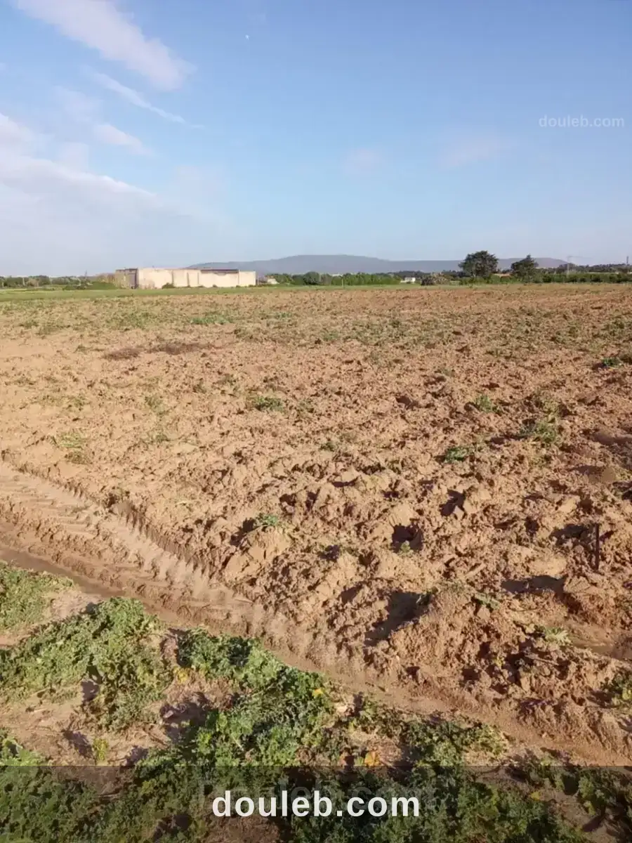 3000m2 seuelement a 120000 dt à Tunis