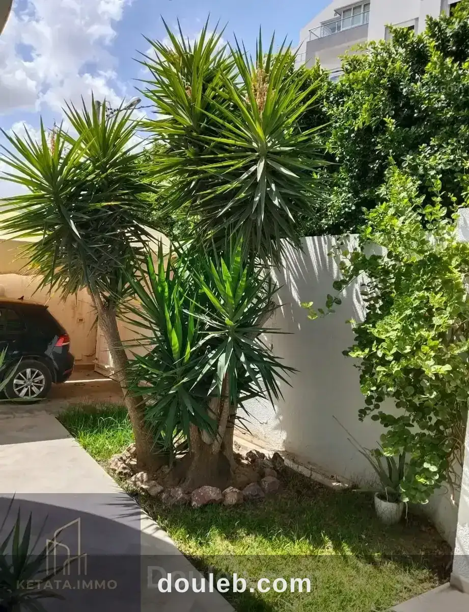 La ghazelle vnt villa fares à Tunis