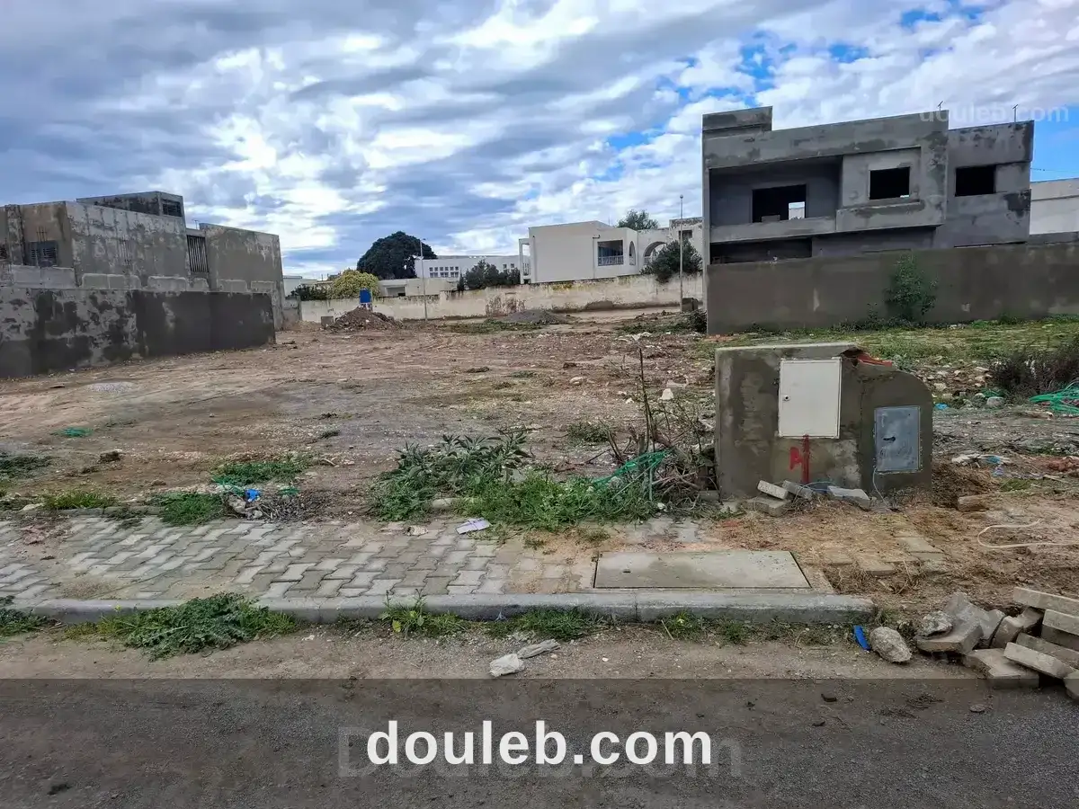 Terrain viabilisé à Tunis