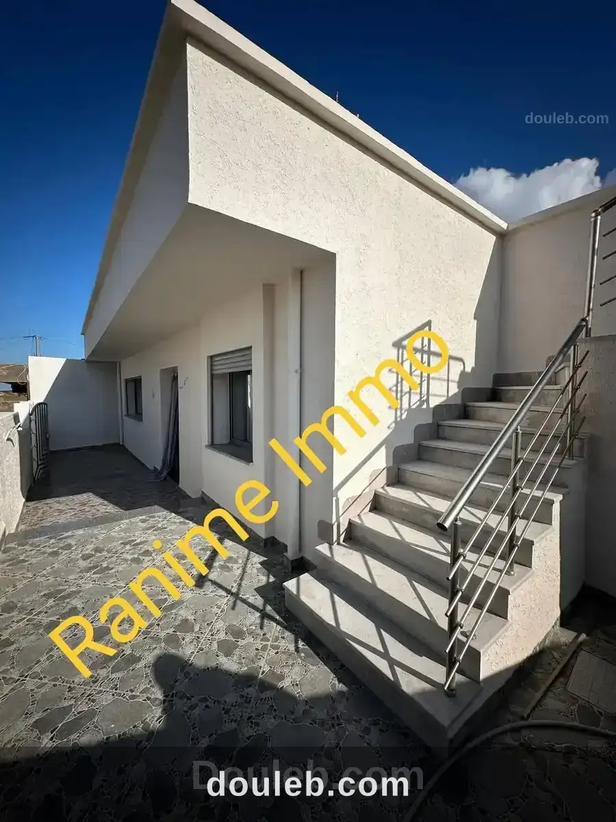 Bonne affaire à Tunis