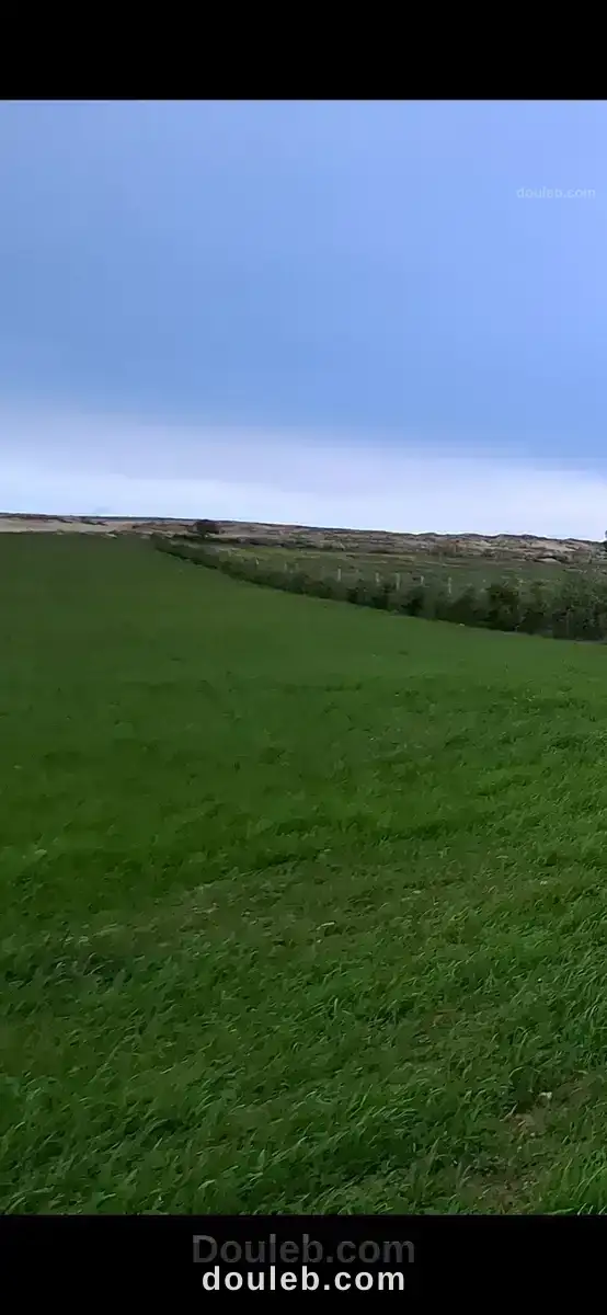 1000 m2 50 dinar m2 à Tunis