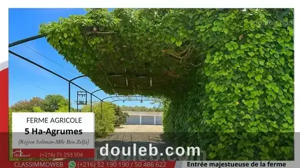 Terrain agricole d agrumes de 5 ha à Tunis