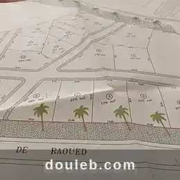 Un terrain sur la route principale raoued gammarth à Tunis